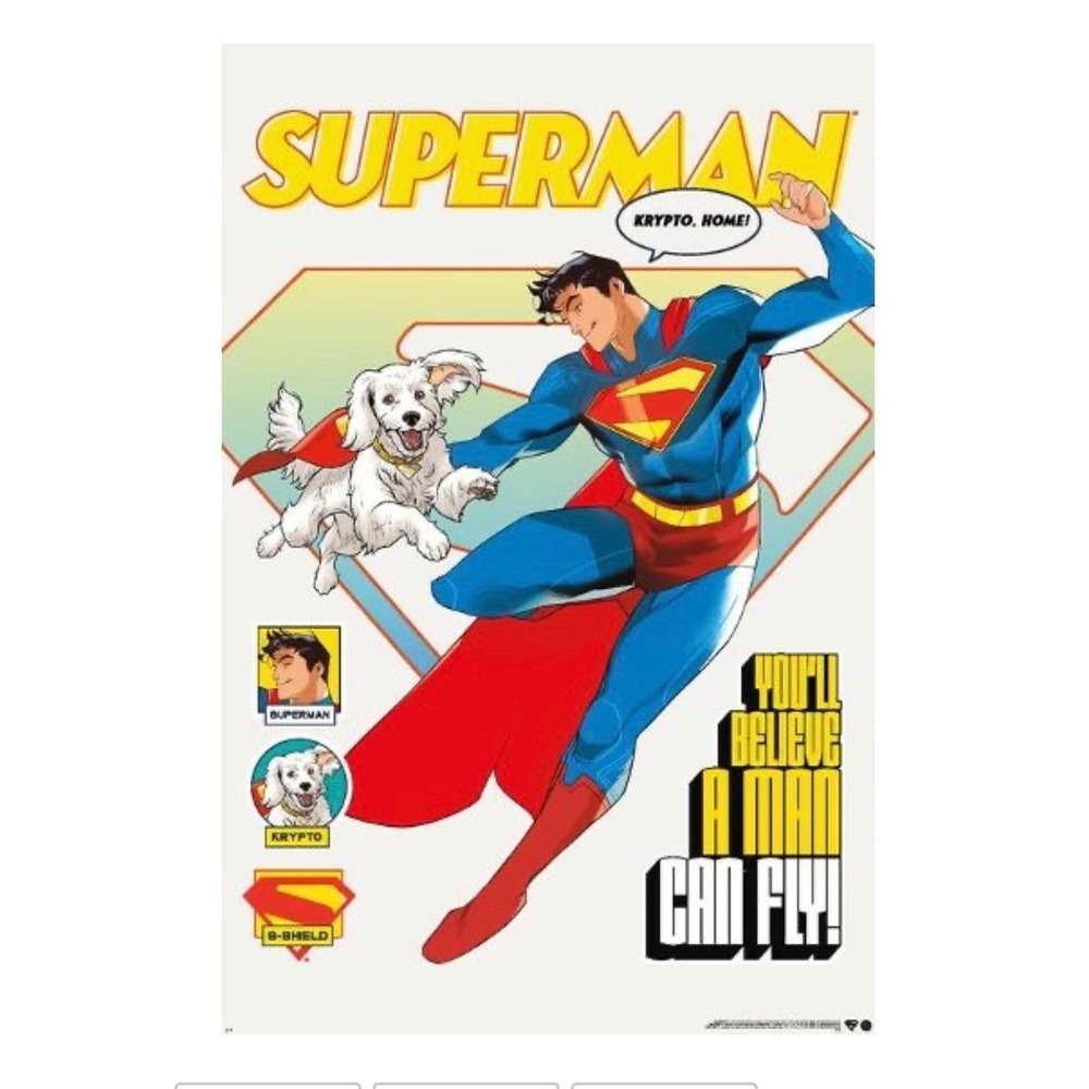 DC Comics Superman Krypto Illustrated Duo Wall Poster 22x34 RP26351 New